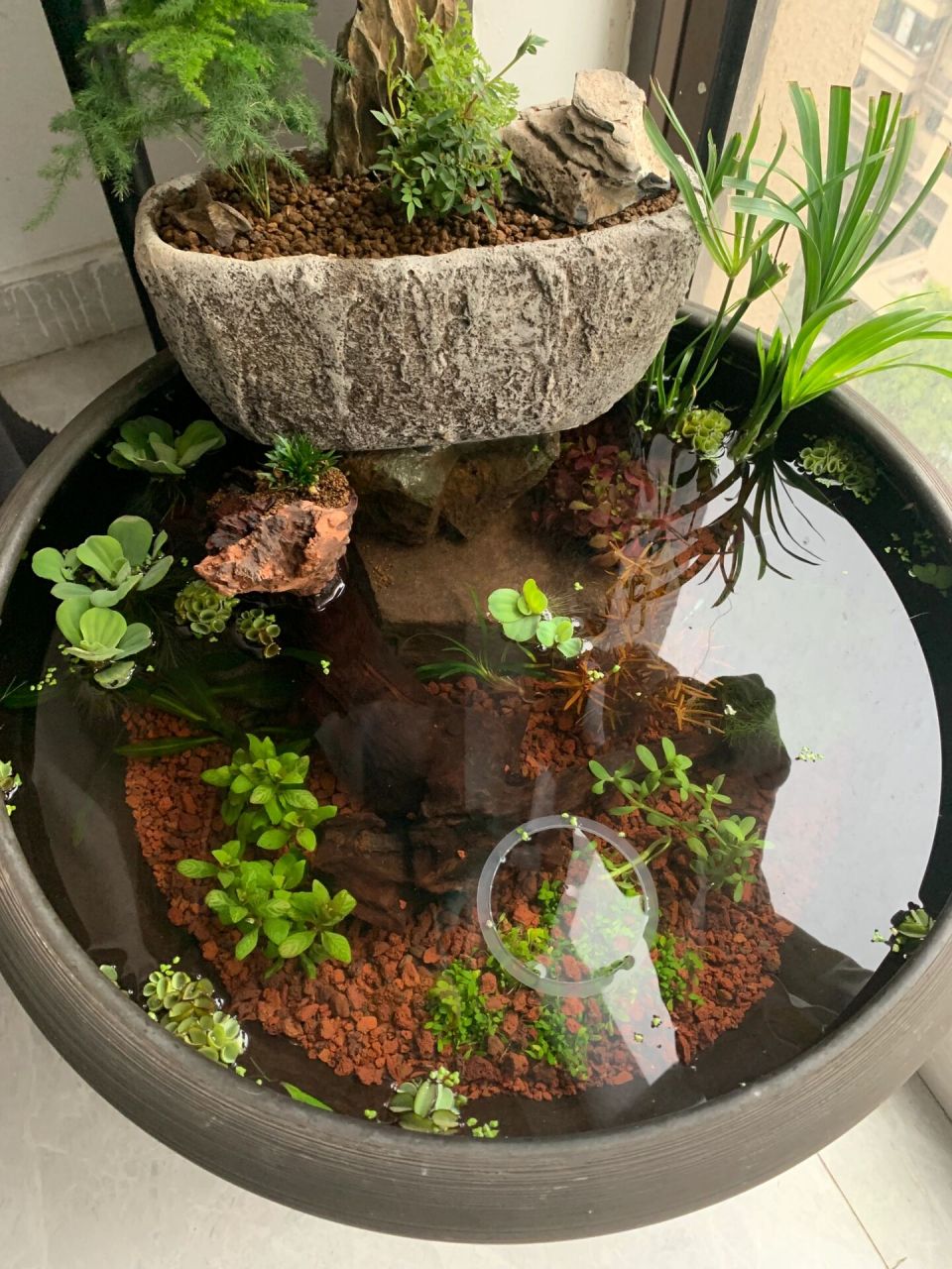 960_1280竖版 竖屏