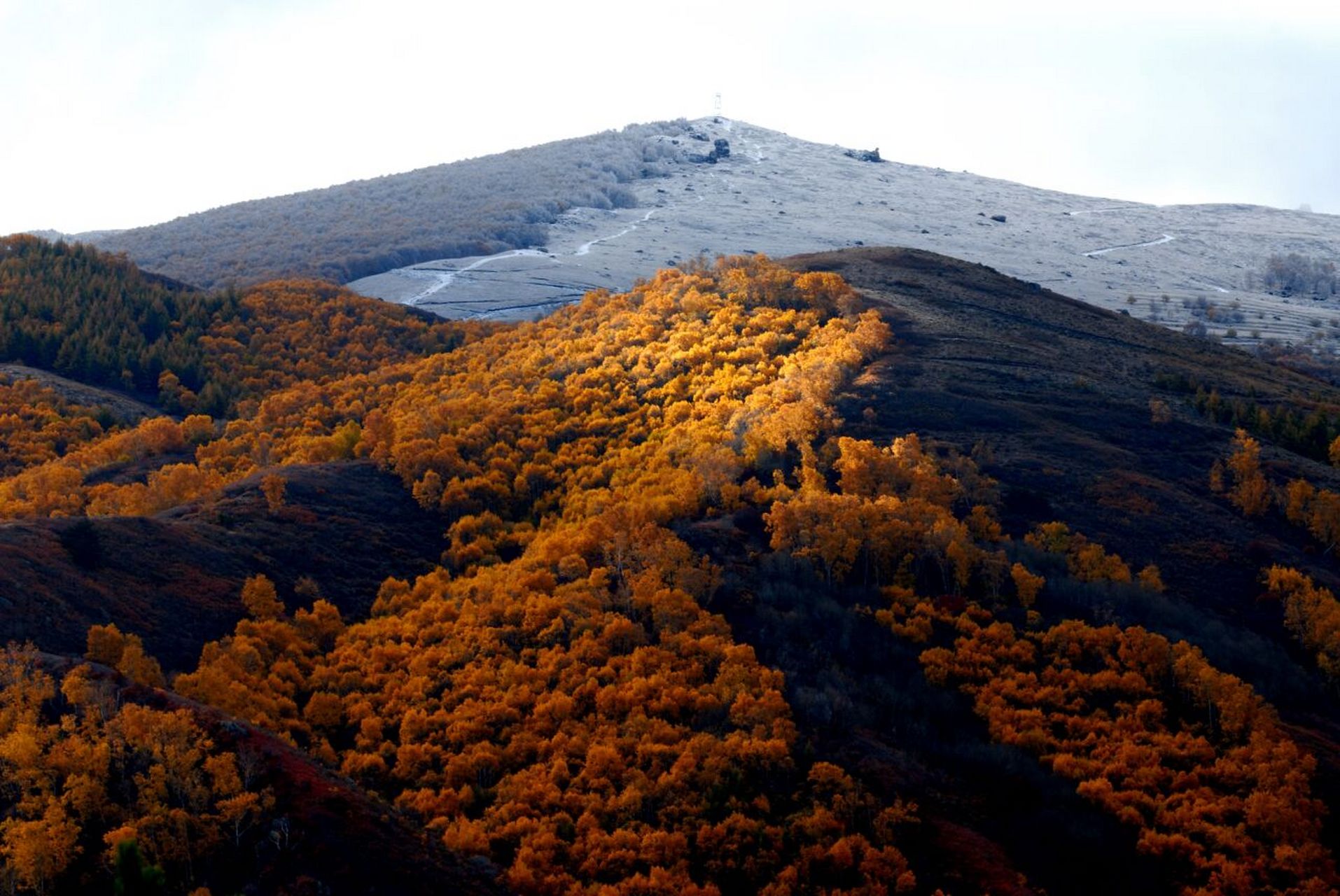 二龙什台国家森林公园 二龙什台国家森林公园地处内蒙古凉城县西北部