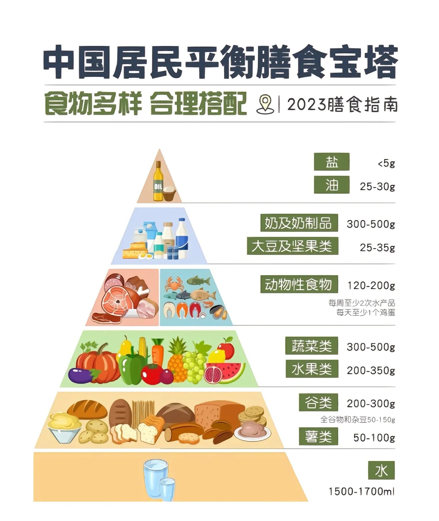 平衡膳食宝塔生物图片图片