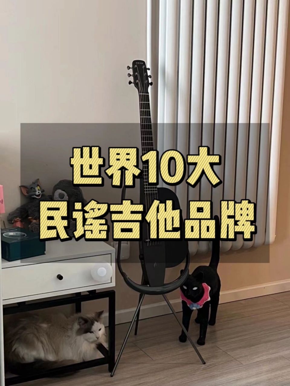 世界10大民谣吉他品牌排名 今天带大家看一下世界排名前十的吉他 喜欢