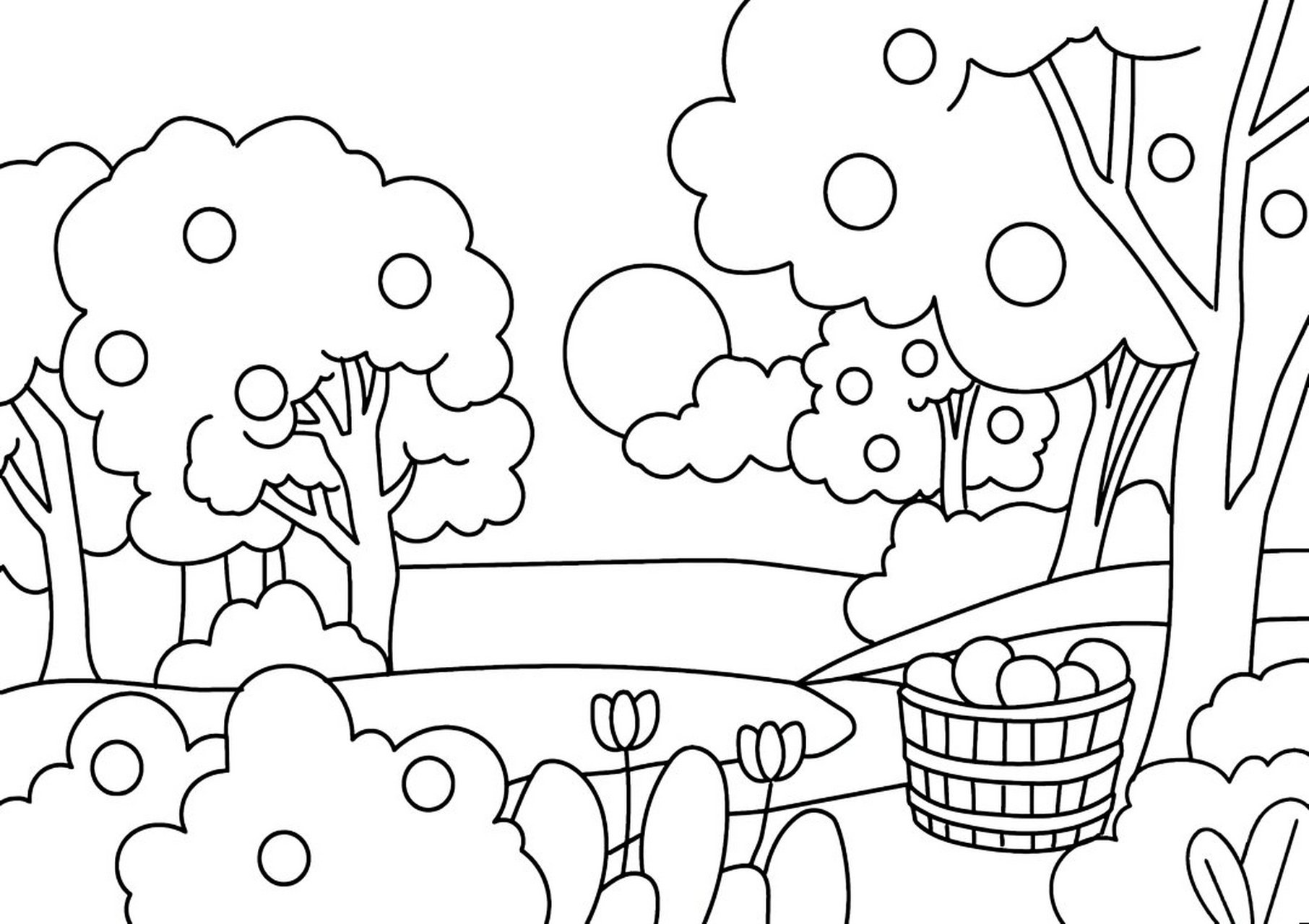 秋天涂色| 秋天来了,给大自然穿上新衣服吧 96适合3-4岁的低幼涂色