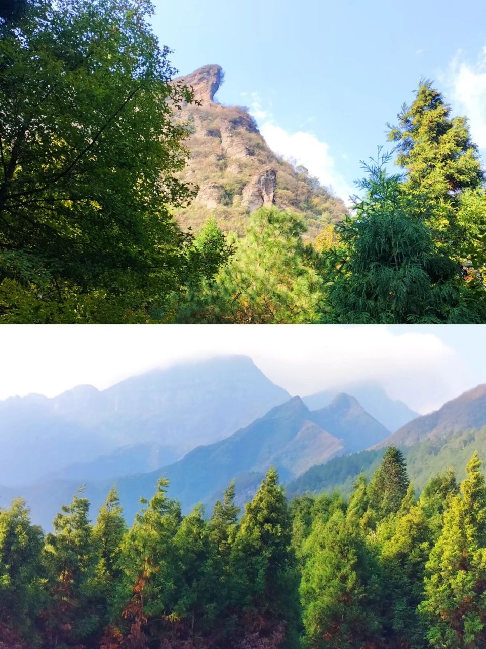 徒步好风景|金佛山三泉镇北门可爱的猴子群     导航:金佛山三泉镇
