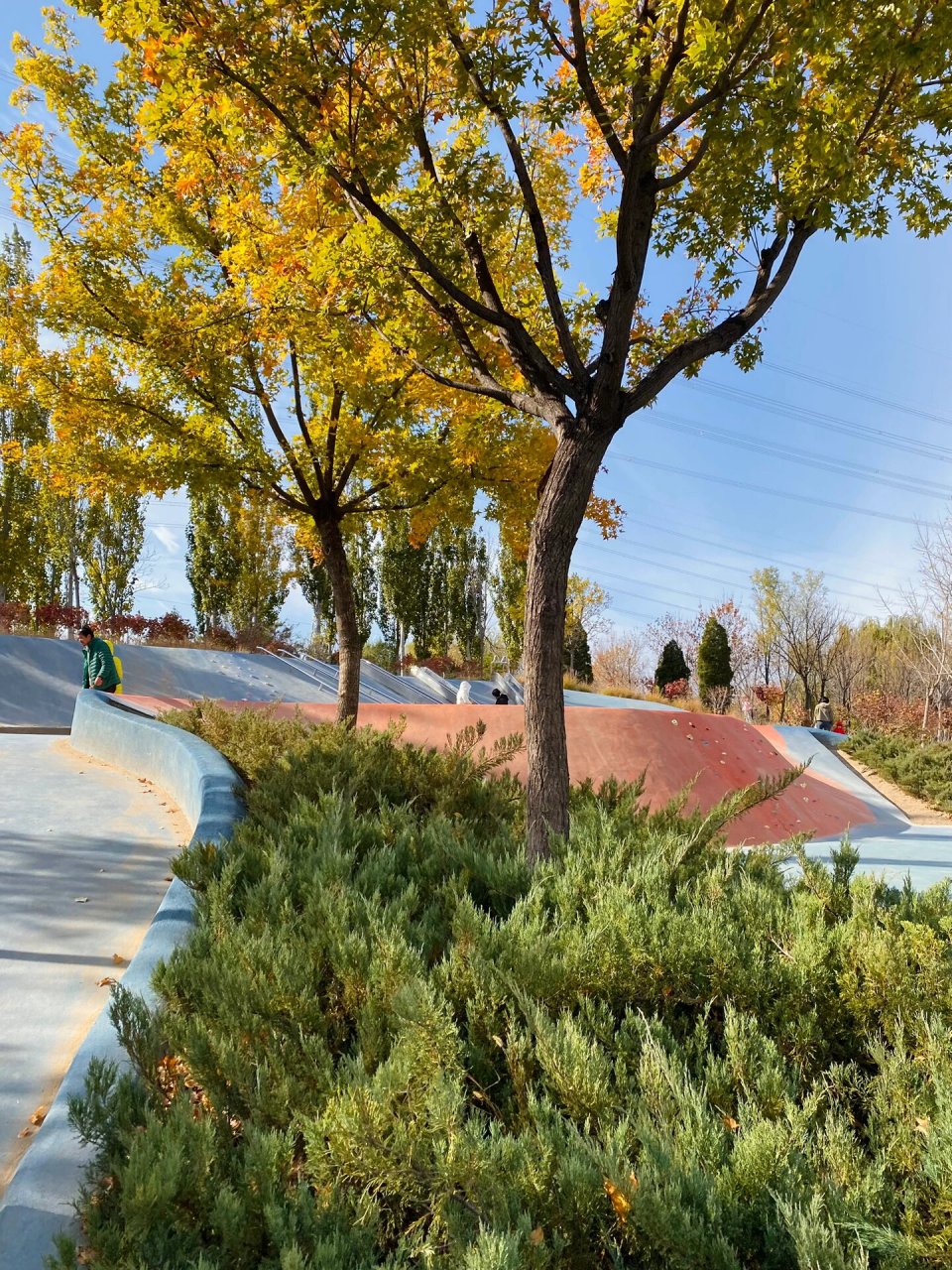 西小口公园遛娃,秋天的颜色太美了  99地址:海淀区西三旗街道育新