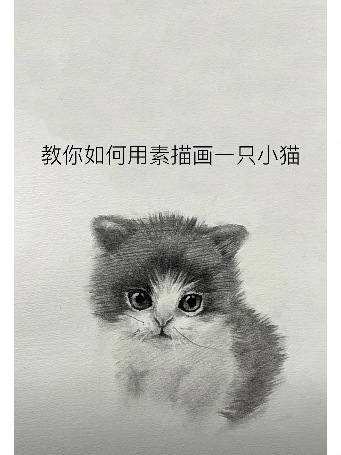 教你如何用素描画一只小猫