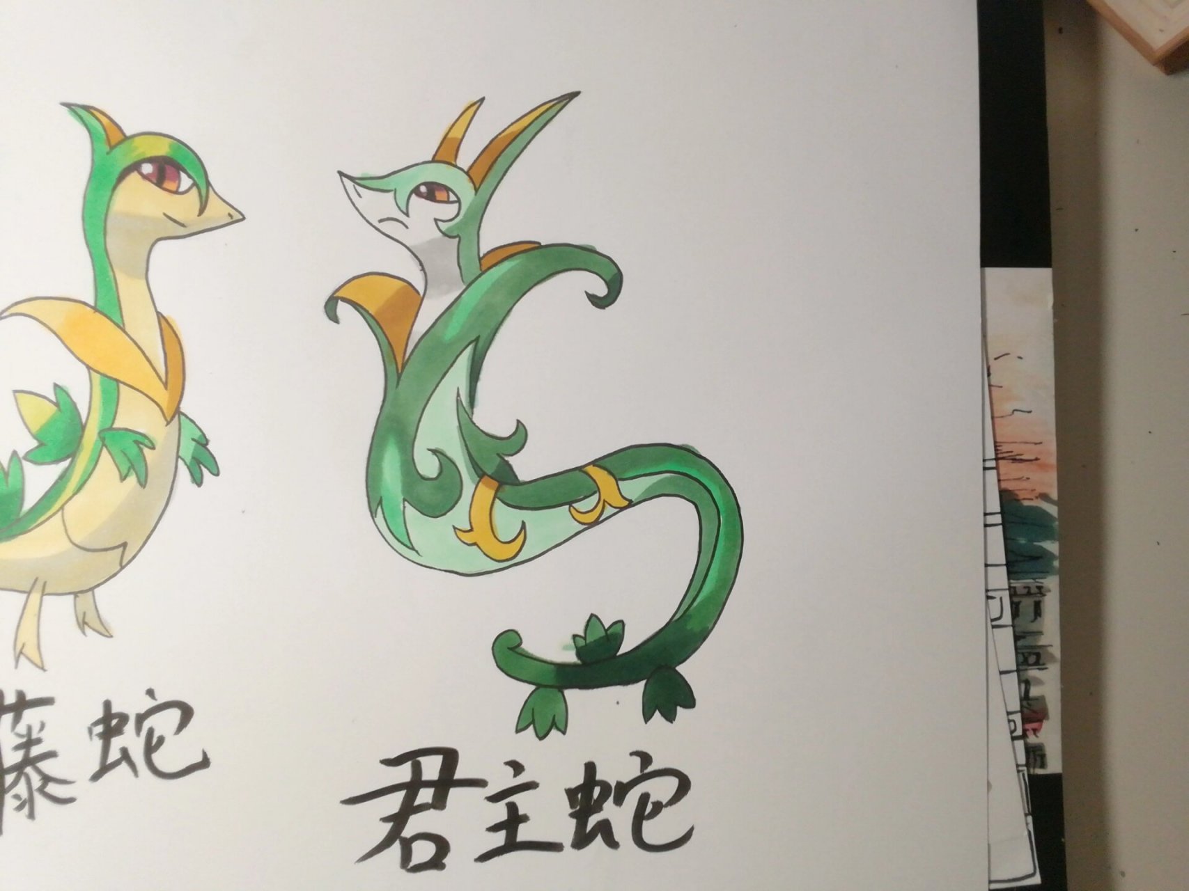 宝可梦 君主蛇进化组∽ 可爱藤藤蛇