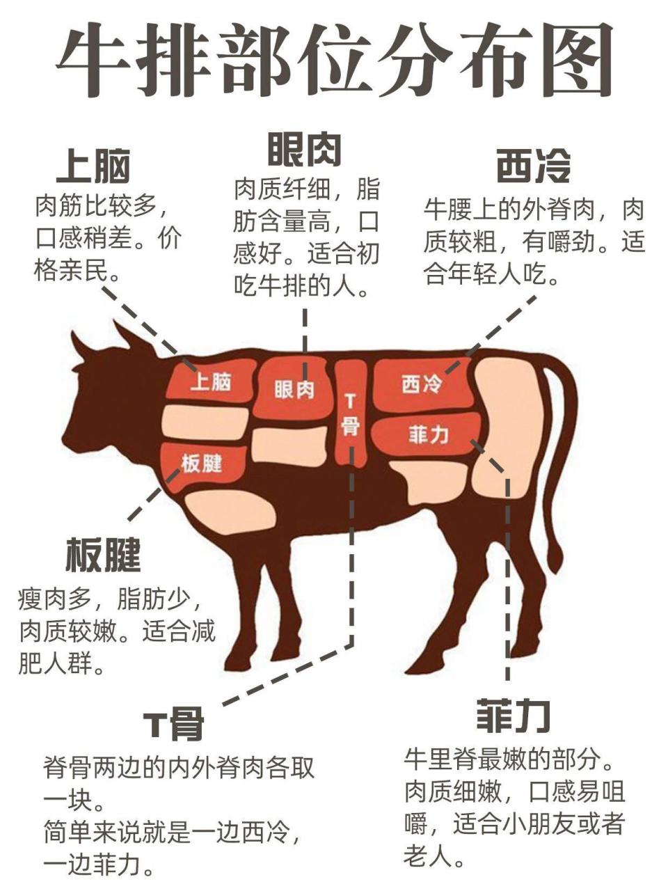 牛排部位排名图片