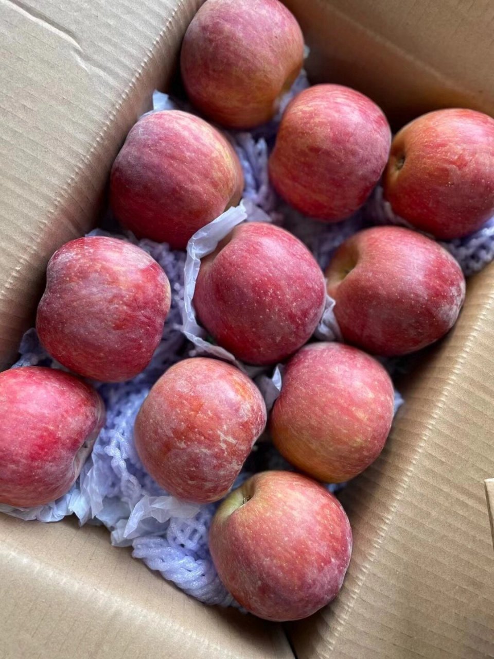 正宗的新疆阿克苏冰糖心苹果96满满的糖心97 阿克苏冰糖心苹果