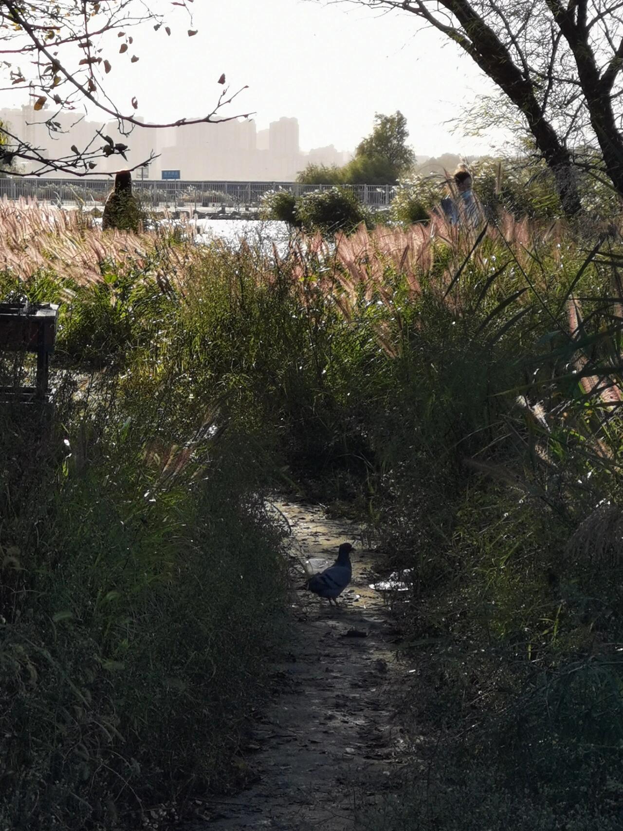 一组秋天的风景照片