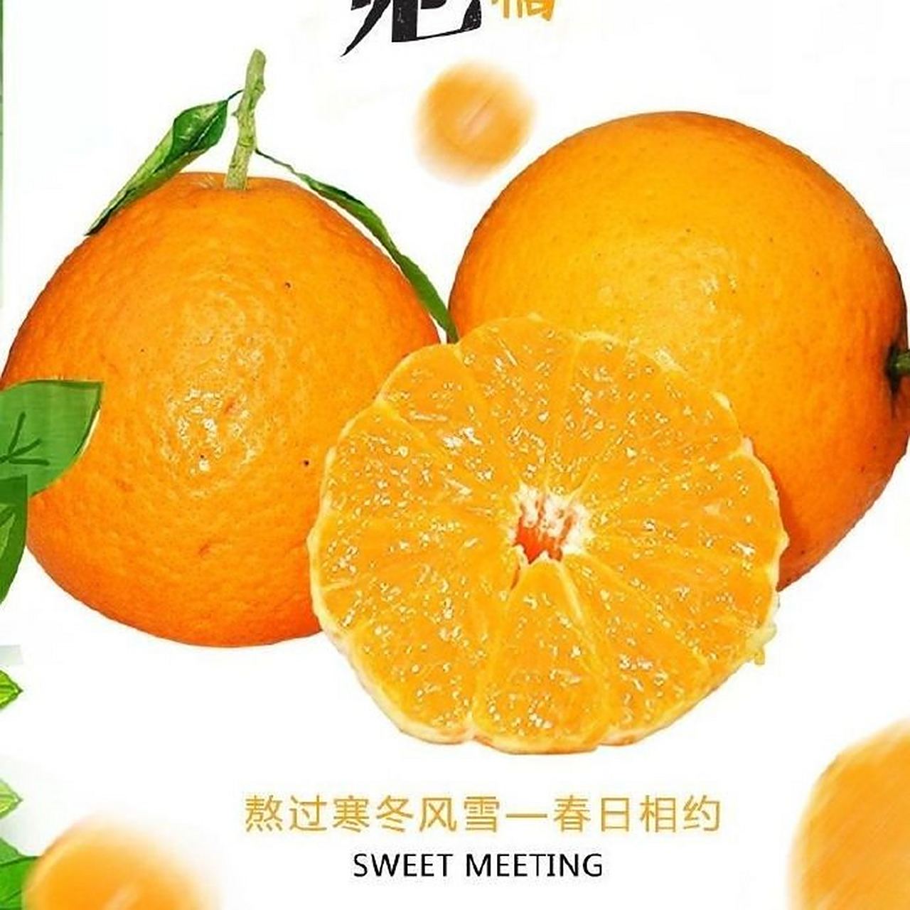 青见与春见的区别(青见与春见的区别是什么)