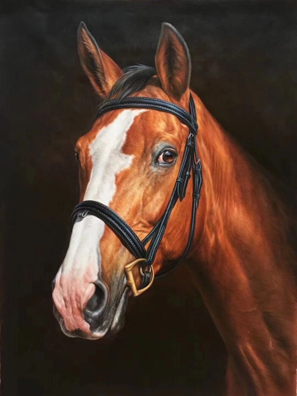 油画写实唯美马头 没想到那么多朋友喜欢这组油画马头,再次分享给大家
