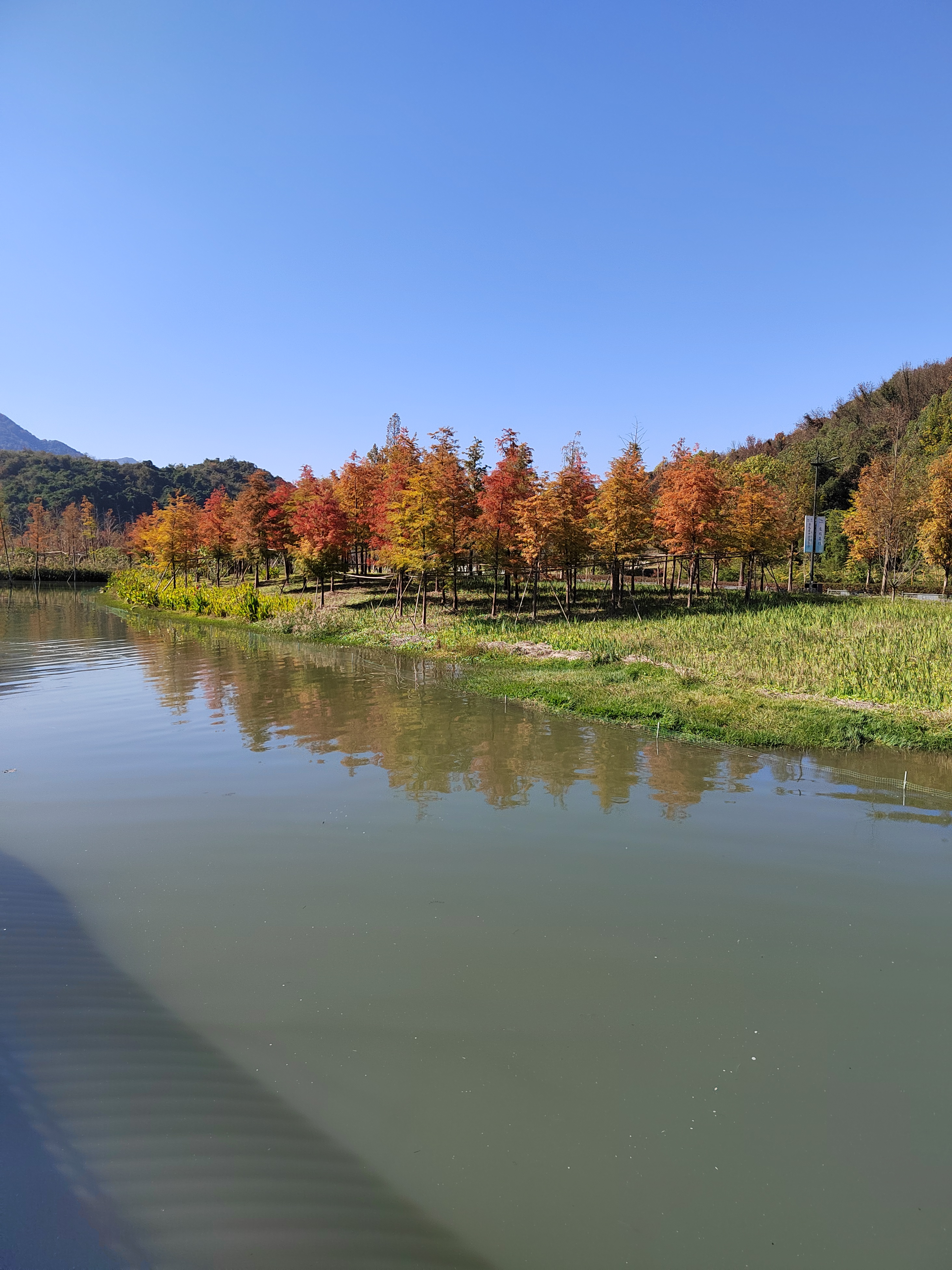 美丽西湖区双浦镇铜鉴湖欢迎大家来游玩