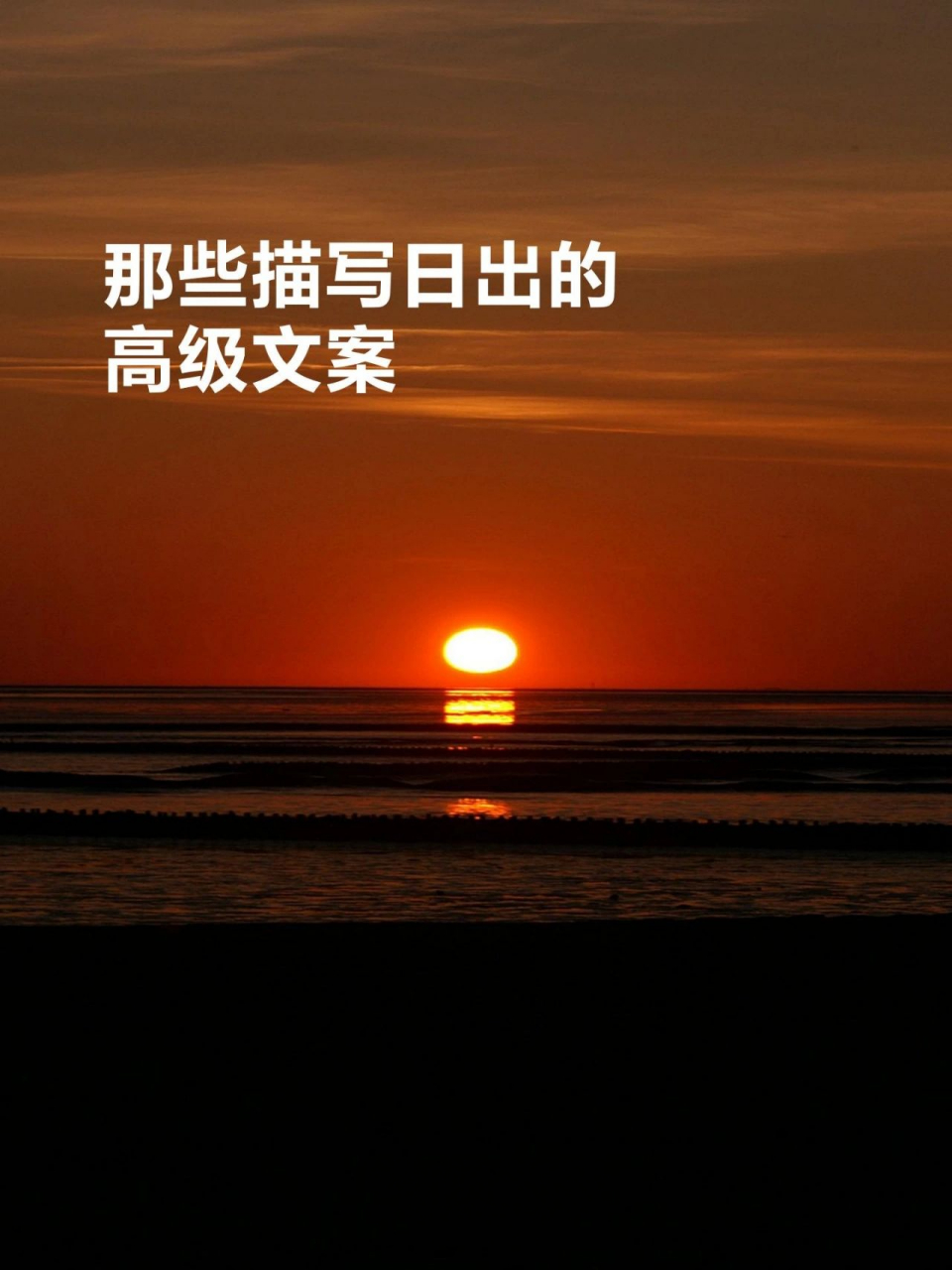 今日摘抄|那些描写日出的高级文案 166从黎明到黄昏,阳光充足,胜过