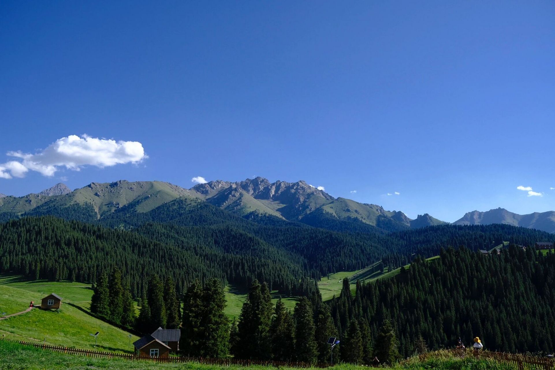 新疆小众景点——一万泉风景区 如题,在乌鲁木齐旁边的奇台县有个