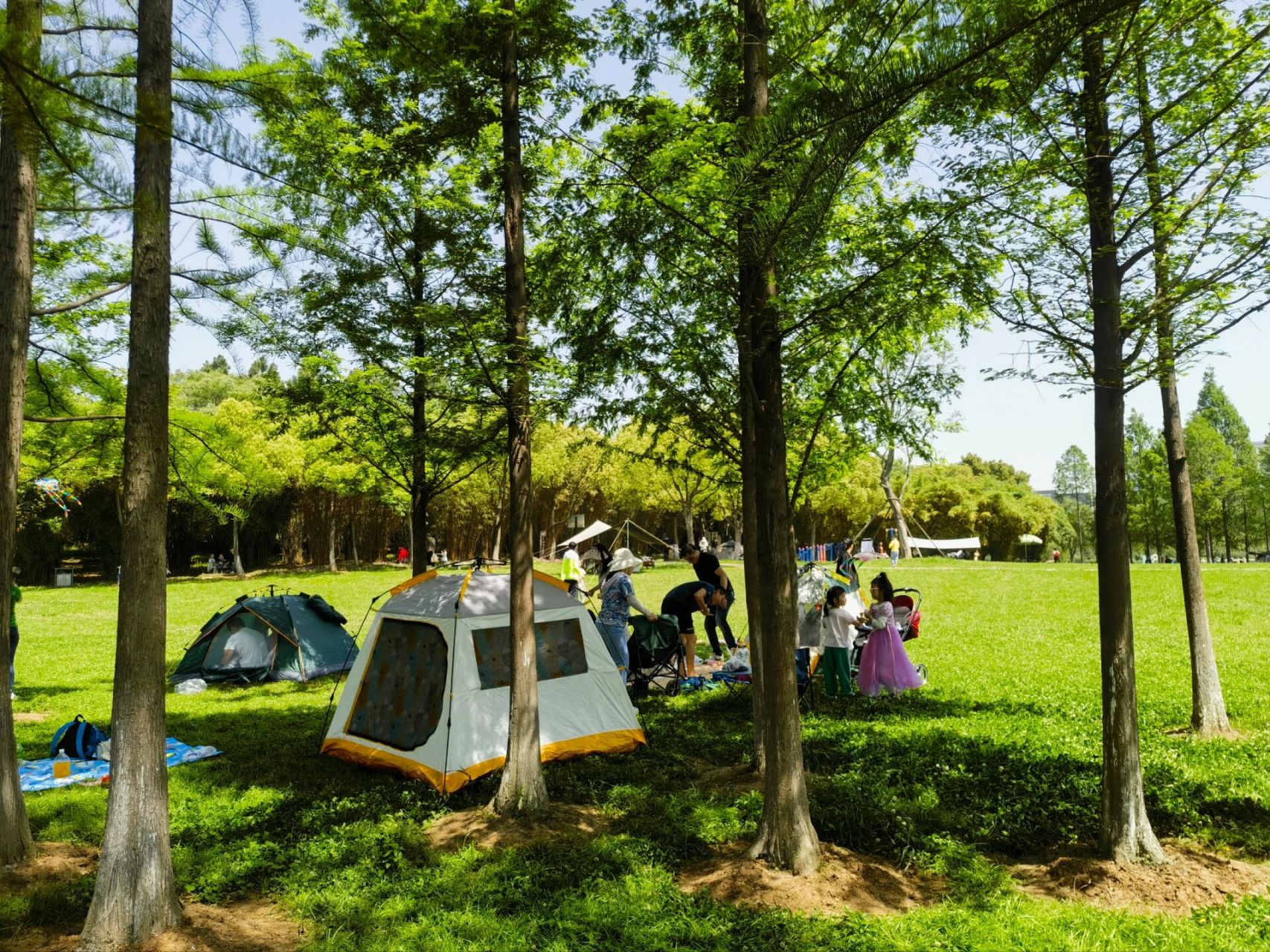 汤湖公园:武汉沌口的休闲好去处 公园位于武汉经济技术开发区(沌口)内