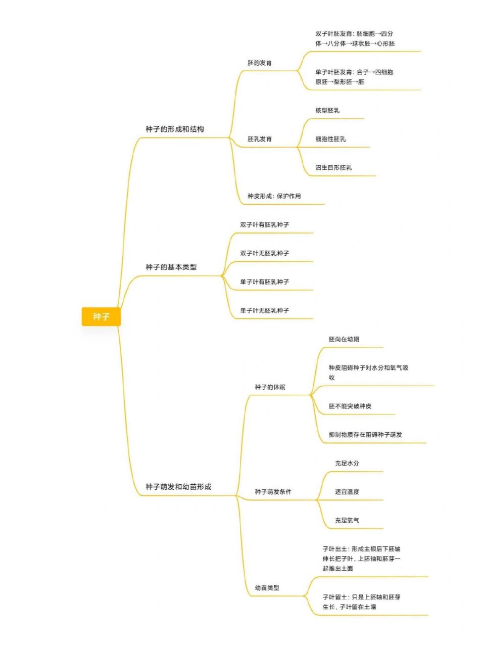 植物学第八章种子植物思维导图-种子