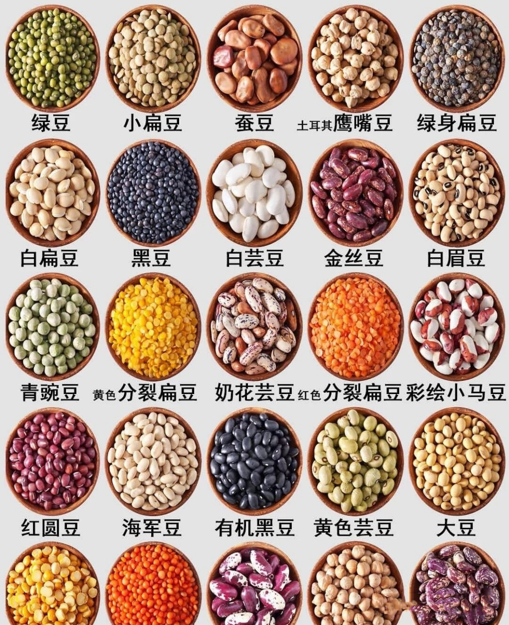 豆子的种类和图片大全图片