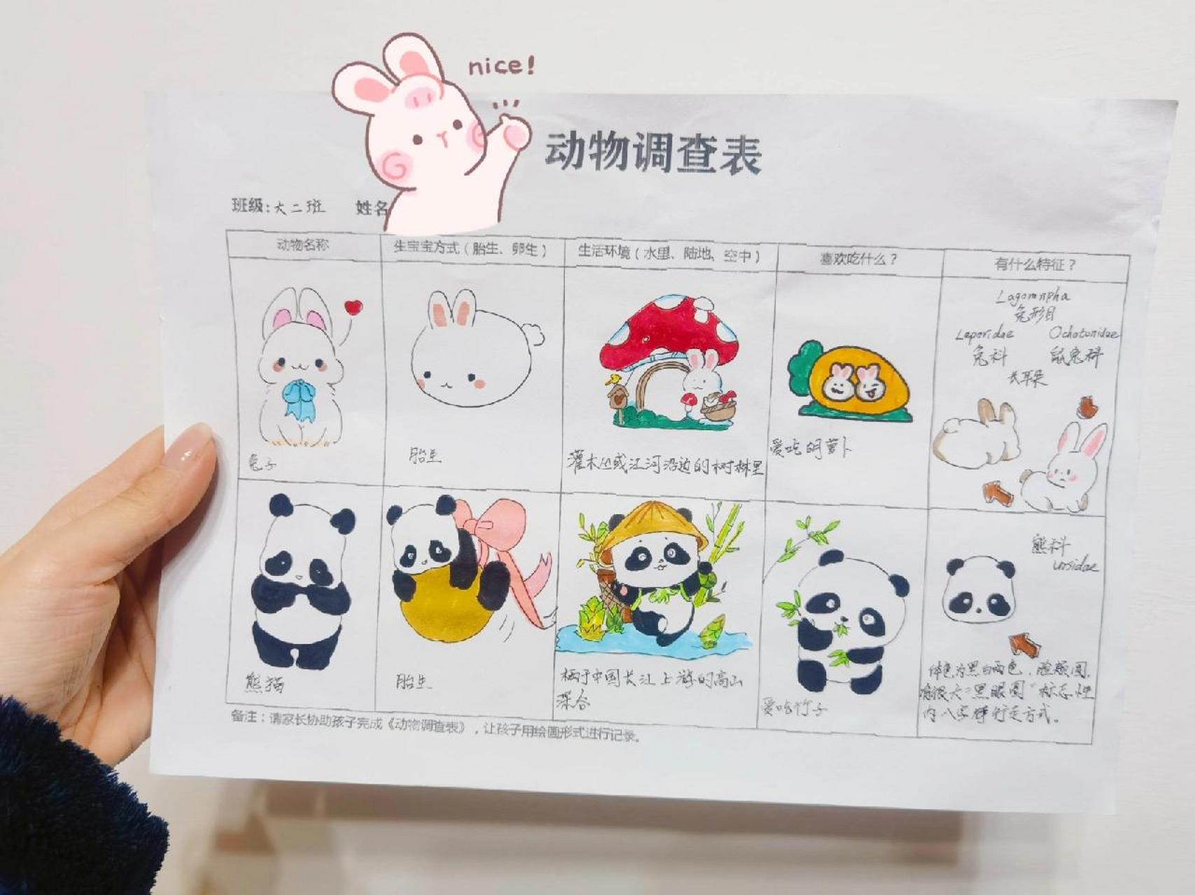 幼儿园的动物调查表 幼儿园的动物调查表