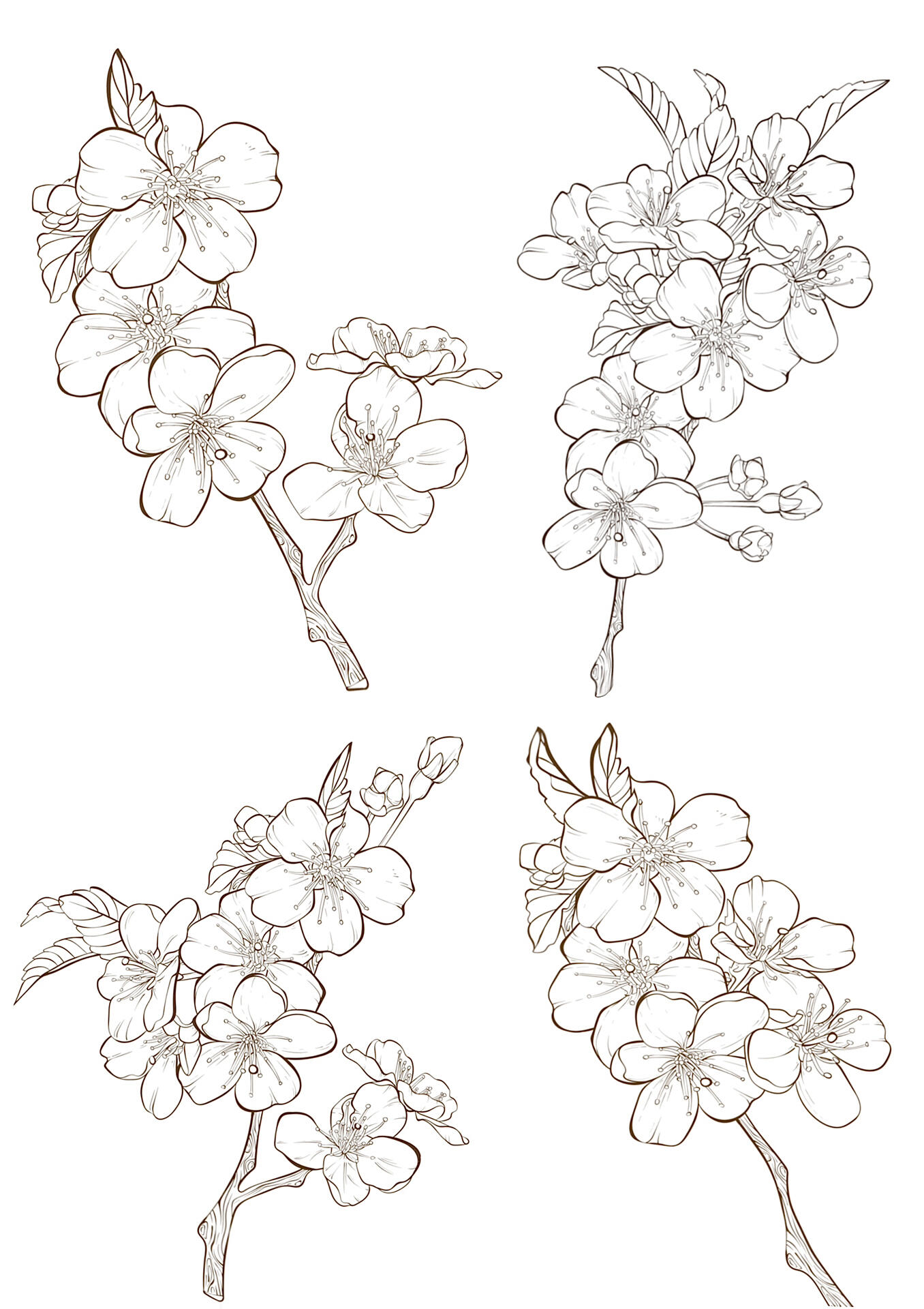 零基础学插画 植物线稿 花素材