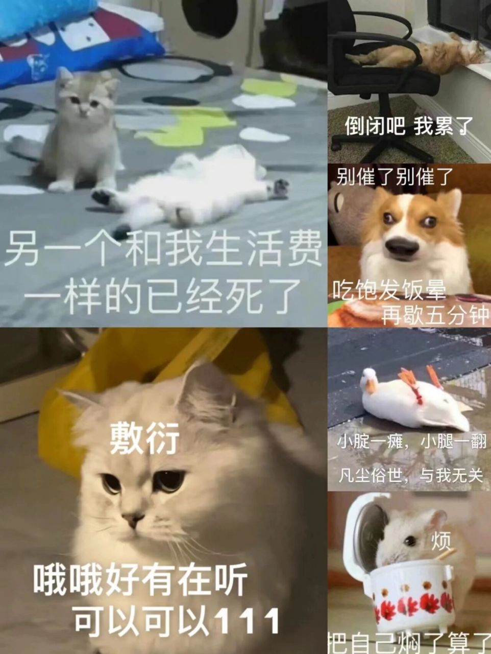摆烂表情包,累了毁灭吧! 这个周末好遥远啊
