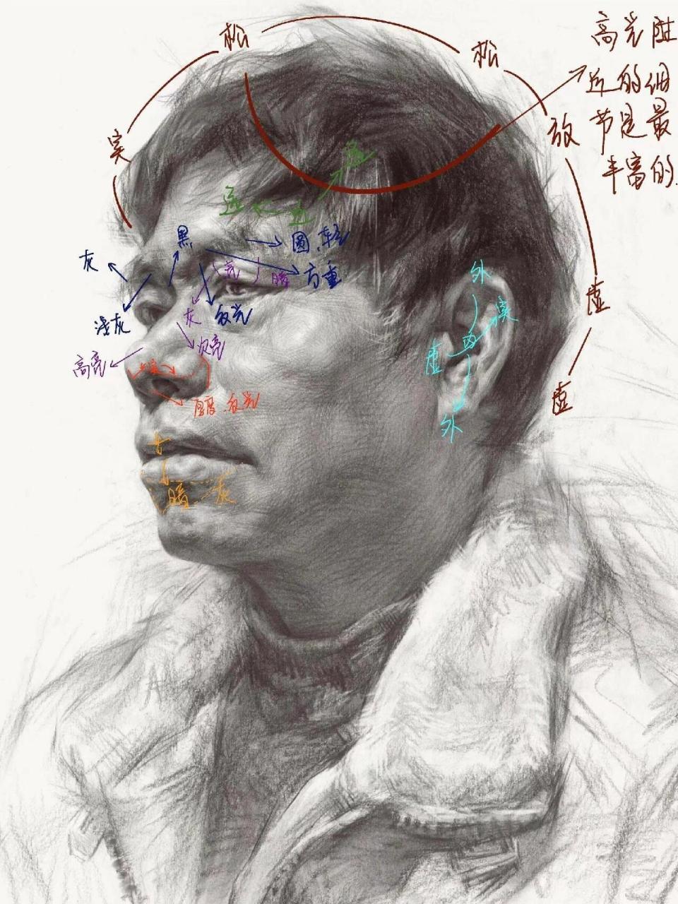 素描头像结构解析 头像结构干货,怎样画好头像结构～看完就会|||166