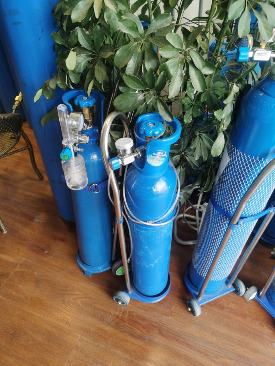 拉萨租氧气瓶(高反必备)   来拉萨3天了,还是高反, 注明:谢谢老板这么