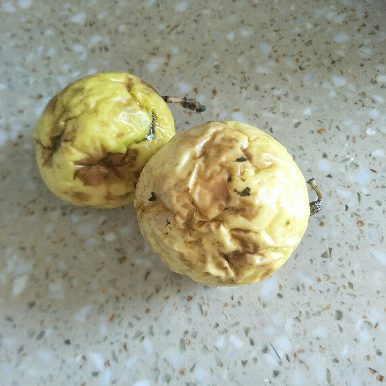 看这个百香果像坏的一样,不要被它的外表迷惑,切开里面果肉又香又甜又