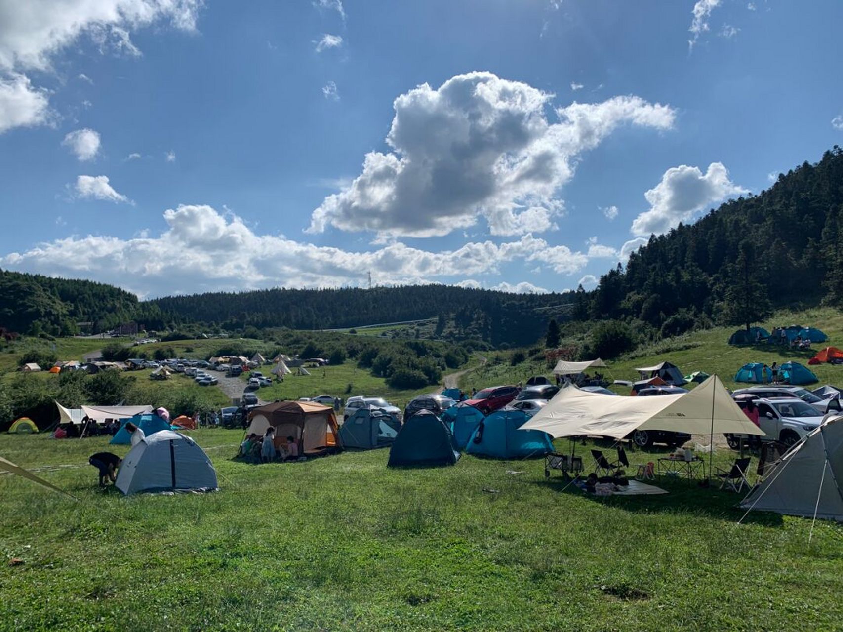 【一起去露营】武隆仙女山露营基地详细攻略 难得有一个长假,想一家人
