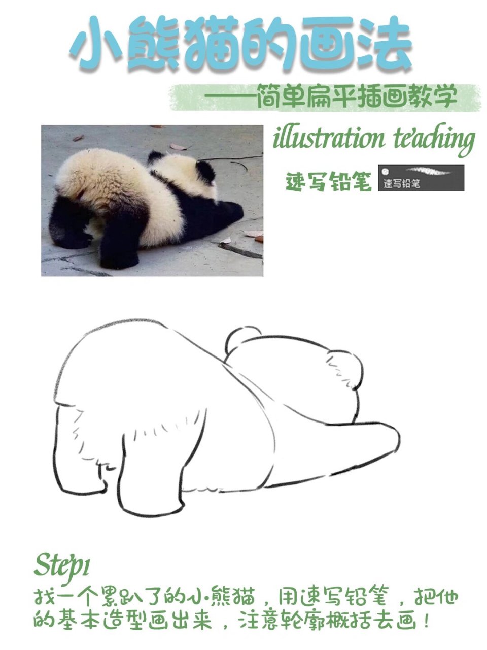 1️⃣找一个累趴了的小熊猫,用"速写铅笔"笔刷,把他的基本造型画