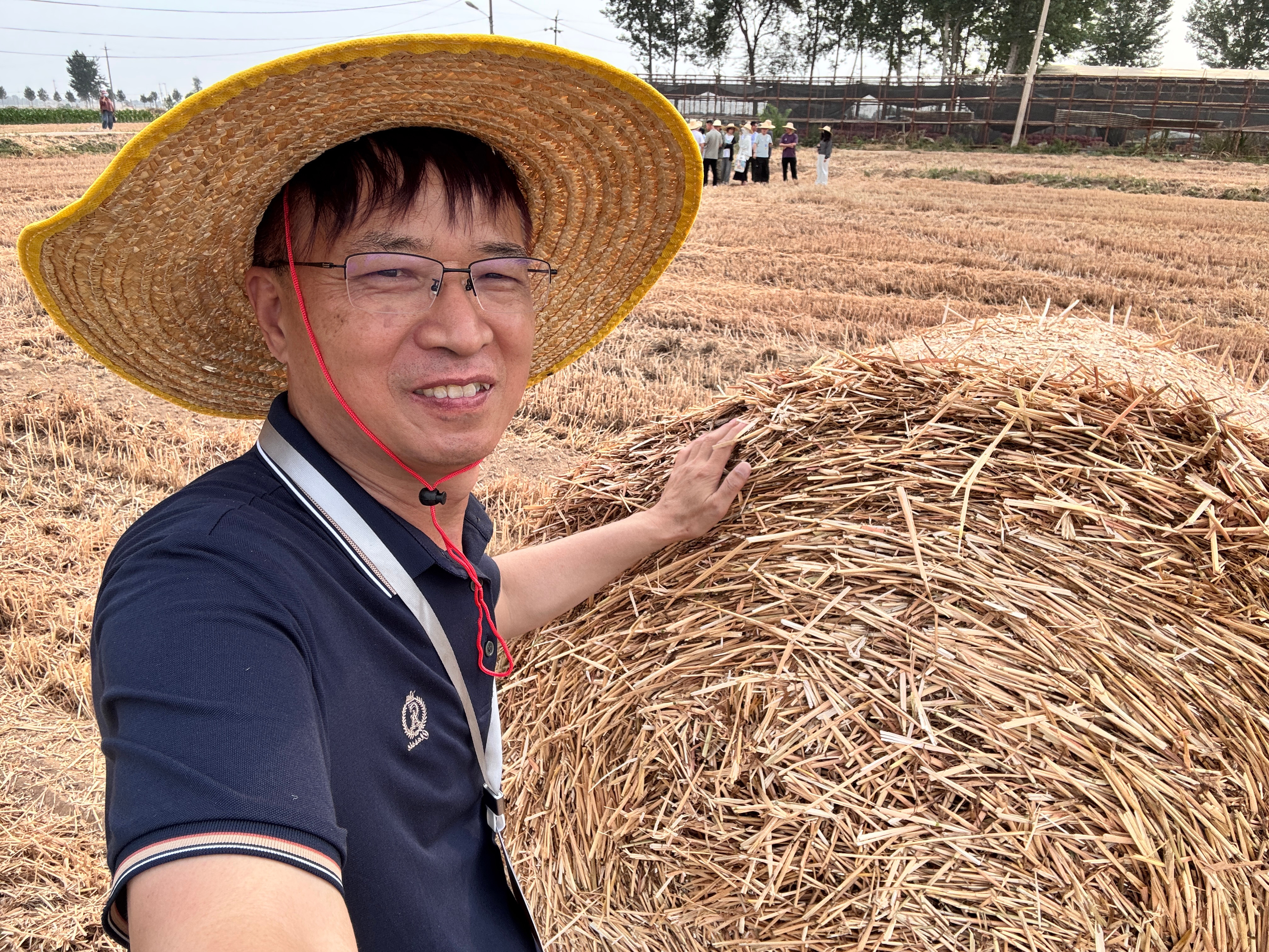 南乐麦秆变成宝# 麦秆莒南县坊前镇李静静山东省莒南县坊前镇于家岭