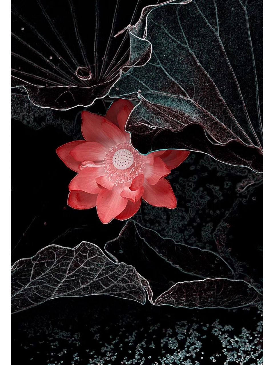 (画意荷花) 从钟百迪老师处学习的方法制作的版画版的荷花,是不是特别