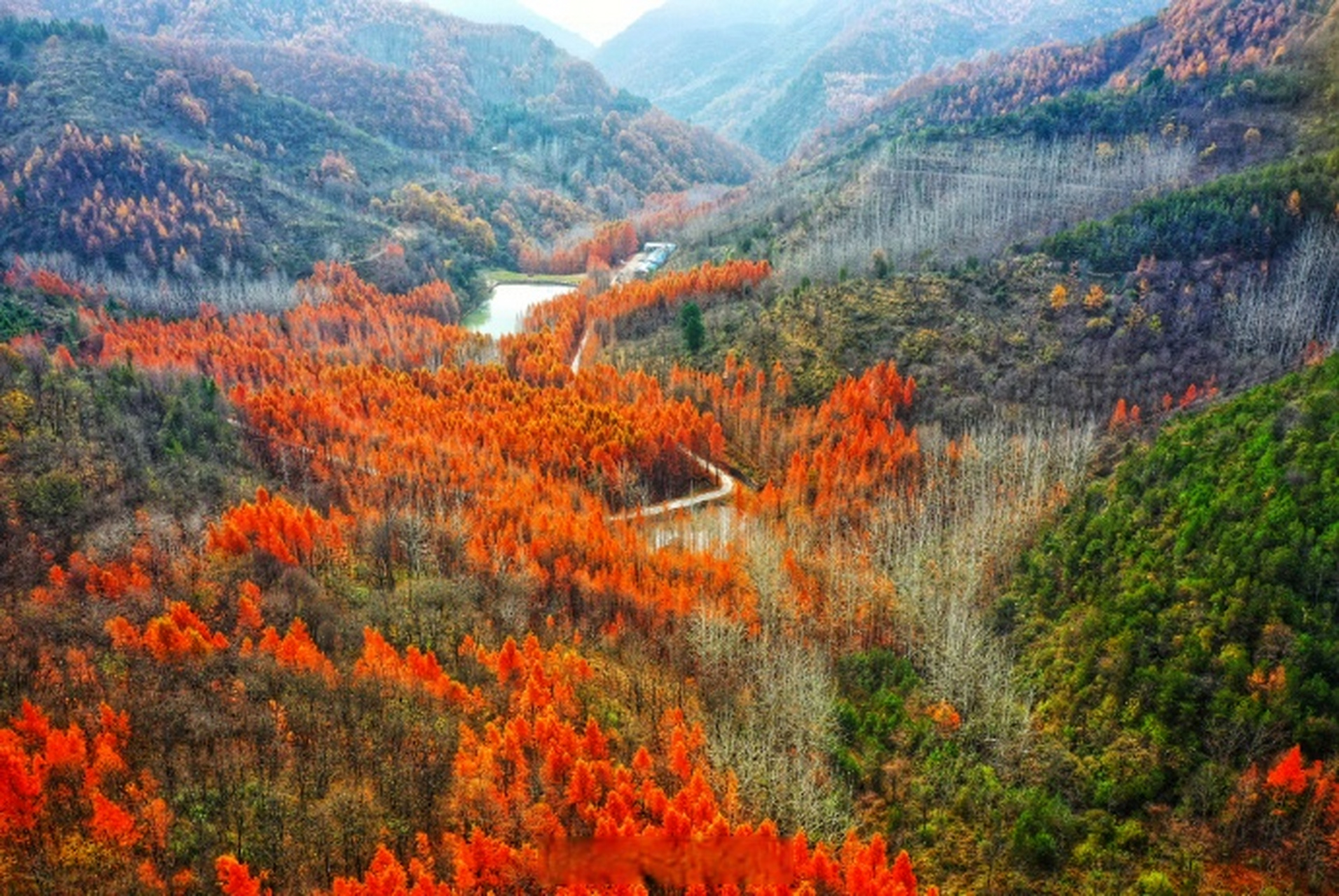 我的家乡我推介##初冬滤镜已就位#【陇南市两当县的冬天来了,迈着