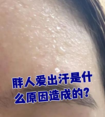 为什么胖子容易出汗 应该怎么处理为什么在线