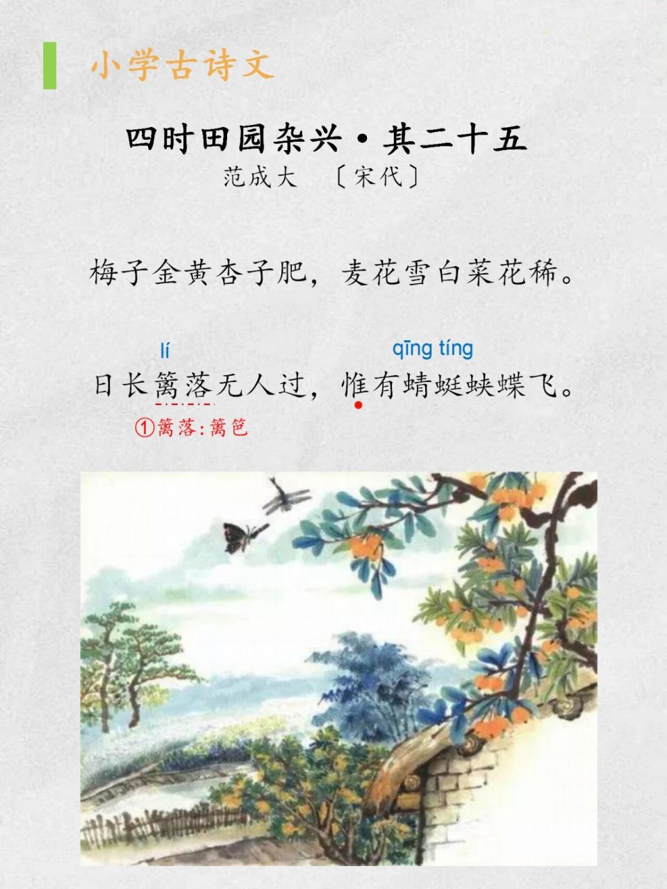 小学古诗《四时田园杂兴》|梅子金黄杏子肥 96 	 《四时田园杂兴