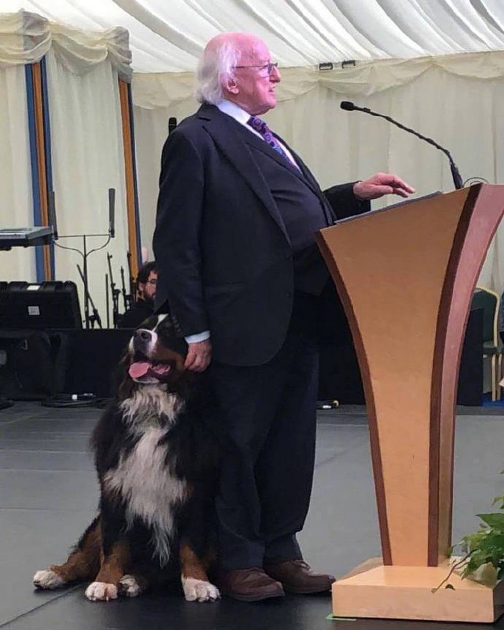 我特别喜欢撒娇,我爸爸是爱尔兰总统.  ig:gentlemensgram