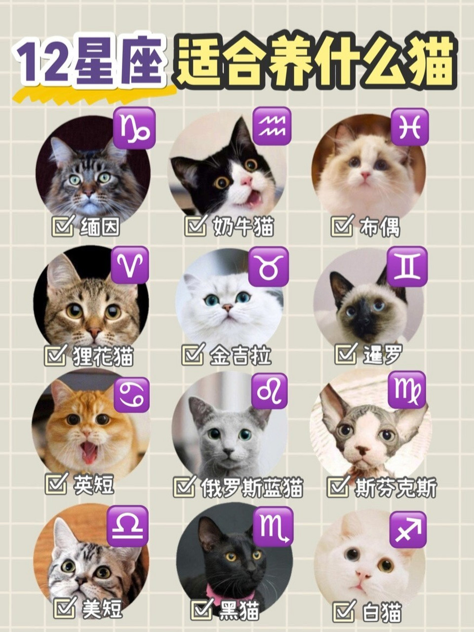 99每个星座都有着自己独特的性格和无二的魅力,猫咪也是这样,不同的