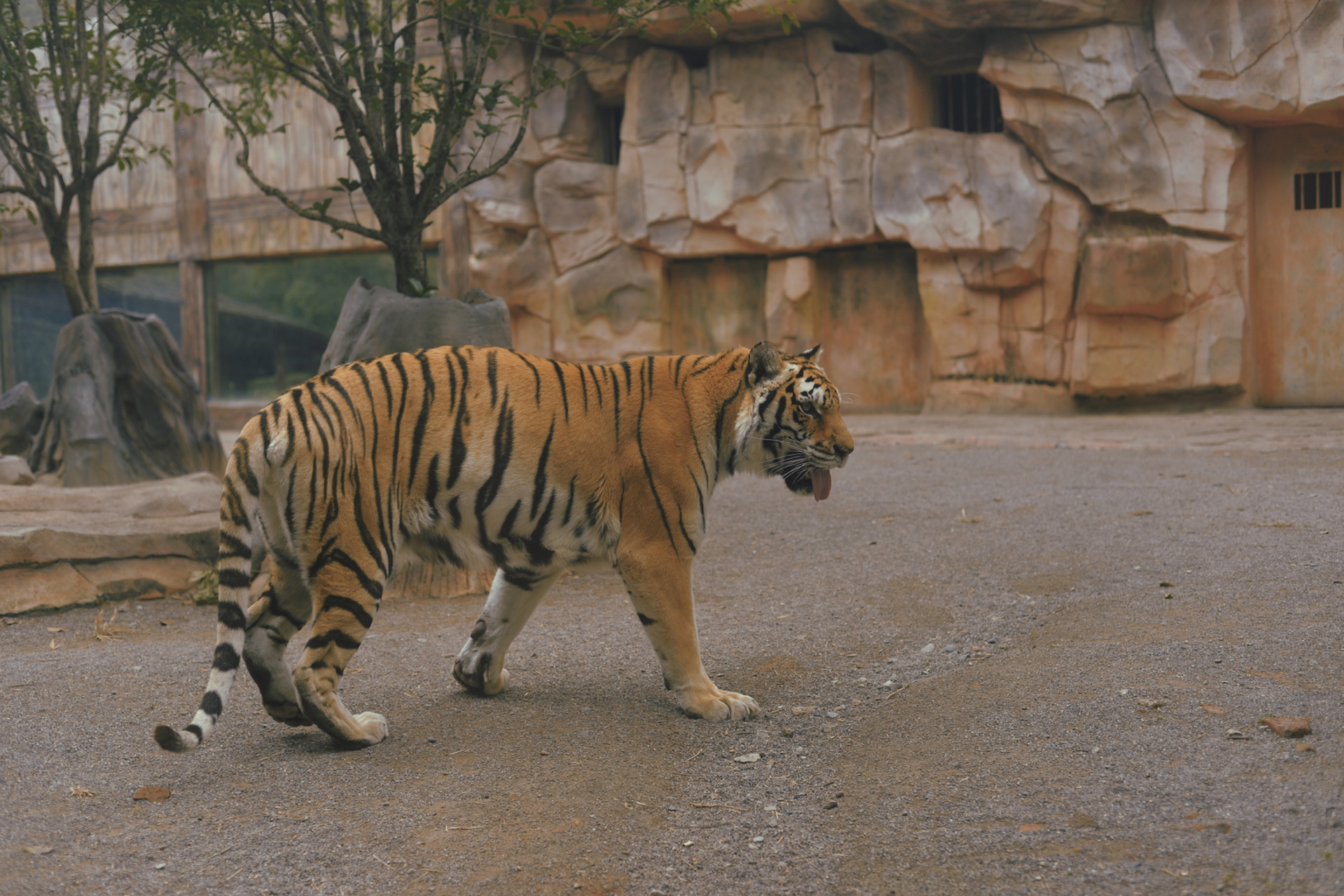 怀化周末出游|怀化野生动物园0007|拍照游完 去哪玩怀化周边游