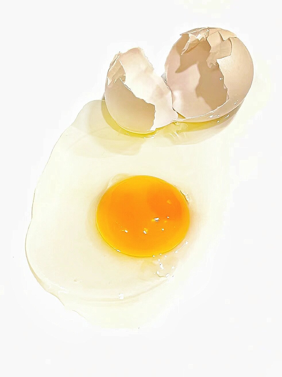 绘画素材|| 鸡蛋摔碎了,今晚煎鸡蛋!