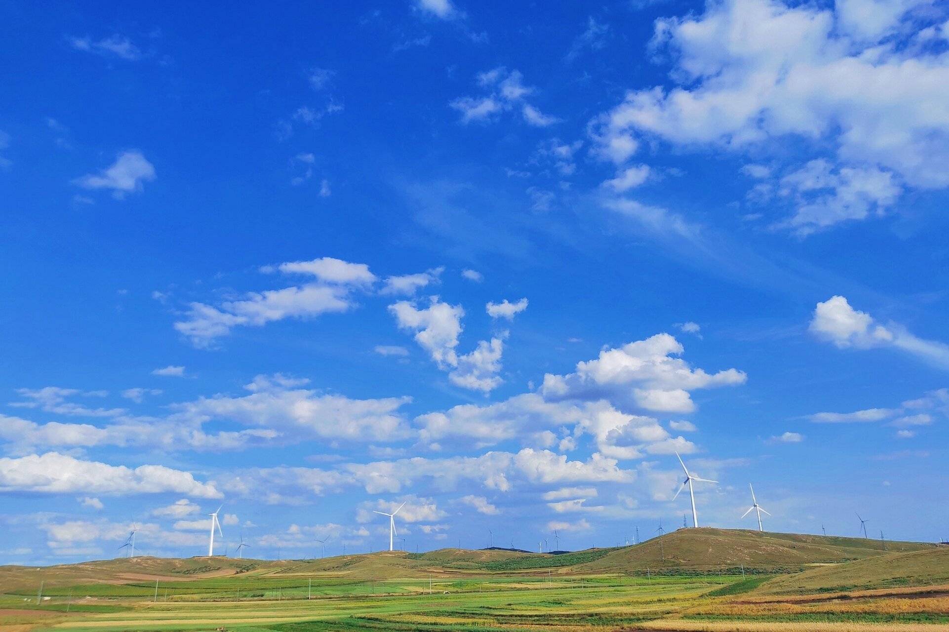 随手拍的风景图片 #旅游# 蓝天白玉配踏板,青草麦田好风景.