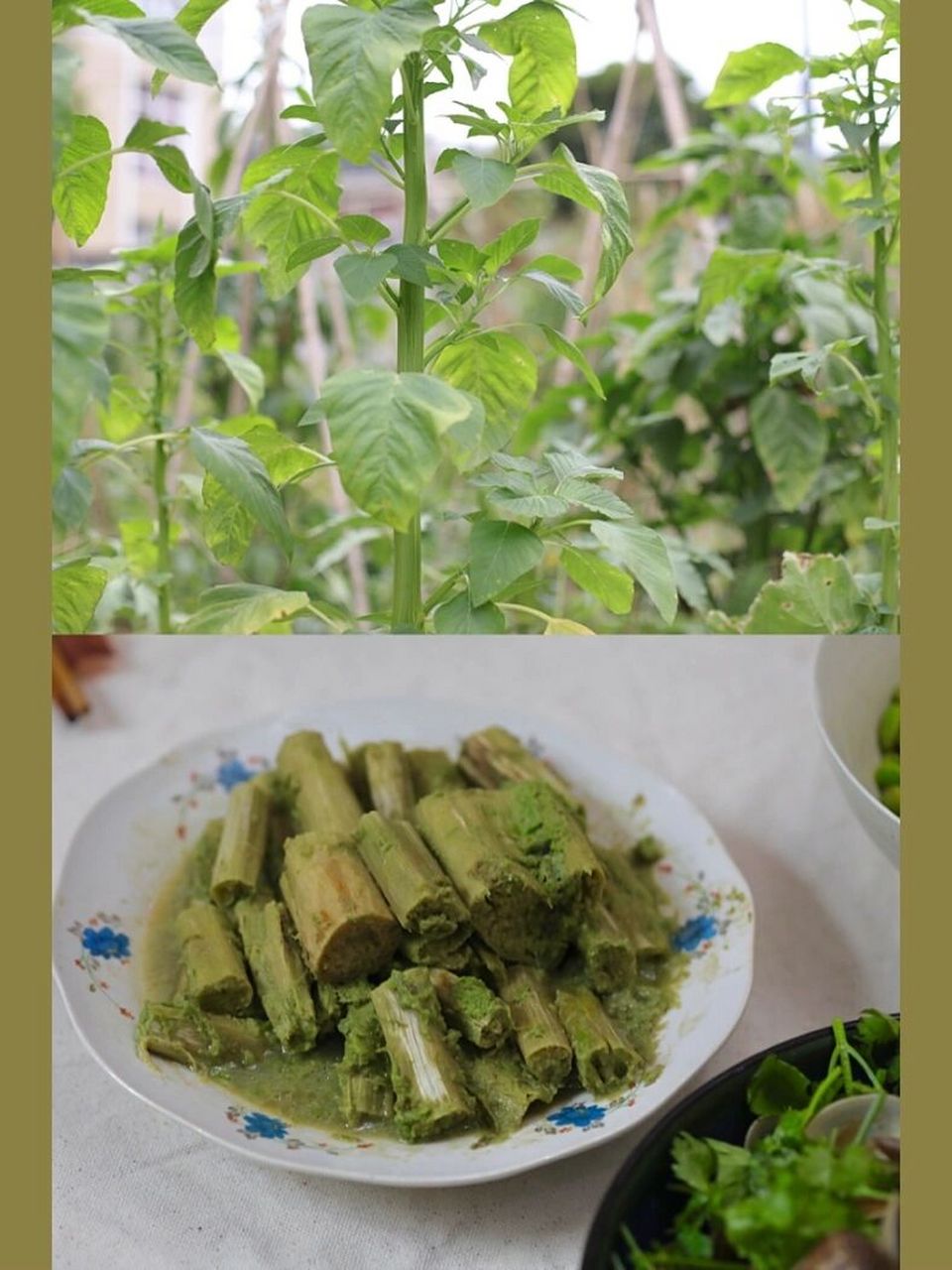 霉苋菜梗|传说中的极品下饭「臭」菜 今日晚餐:清蒸霉苋菜梗,清炒毛豆