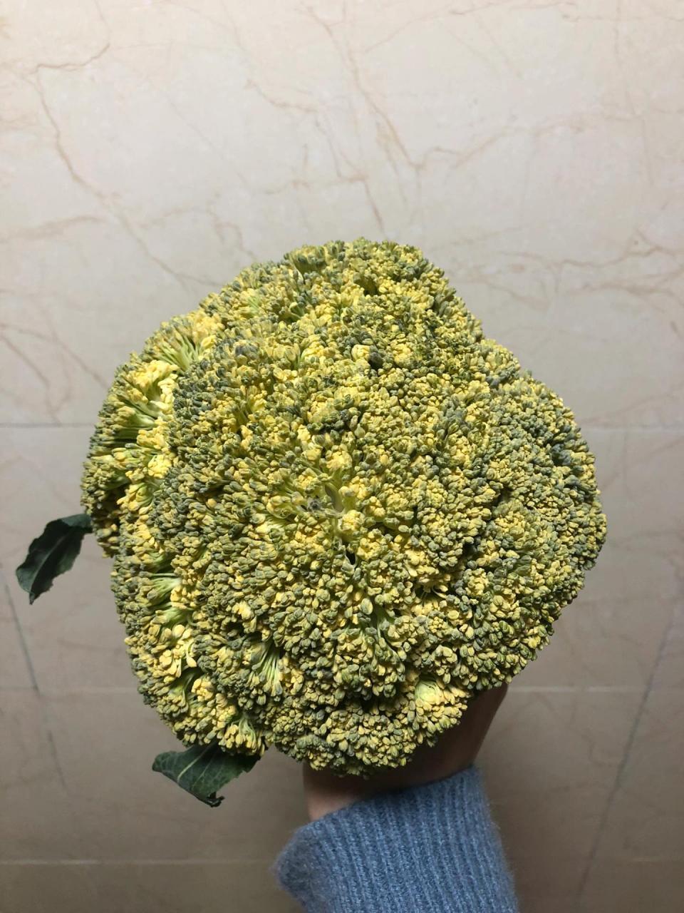 西兰花怎么变黄色了?这还能吃吗在线等!