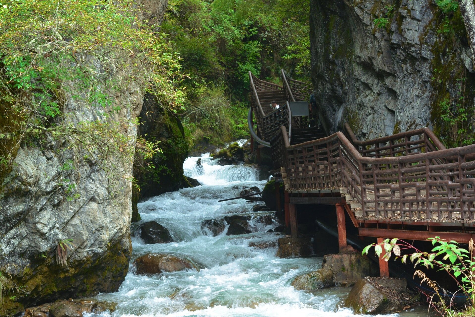 初秋的高桥沟 高桥沟位于阿坝理县孟屯河,成都过去车程3.5小时左右.