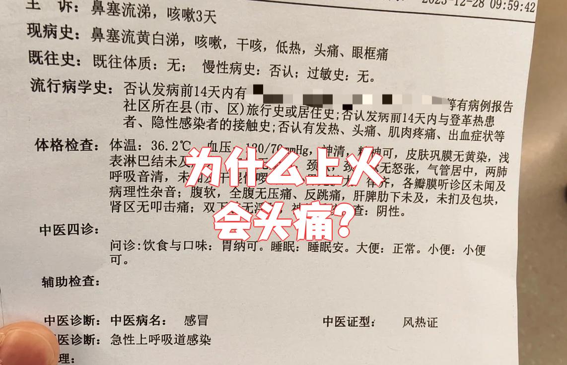 为什么上火会感冒为什么在线