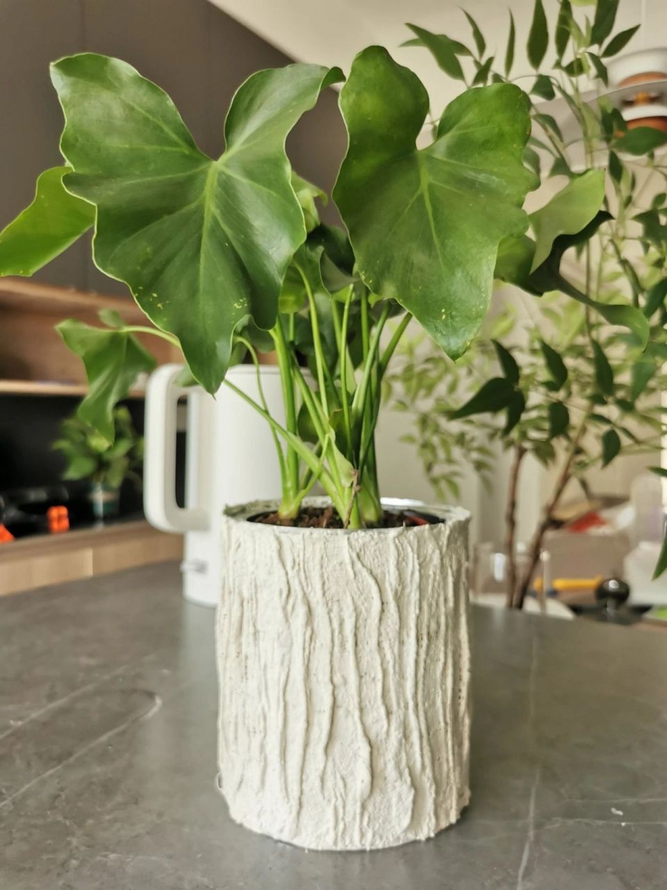 奶粉罐用完就洗干净,晾干(用完就洗哦,时间久了我怕你鼓不起勇气去洗)