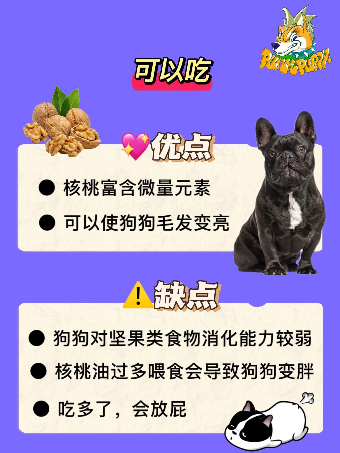 狗狗可以吃核桃吗?