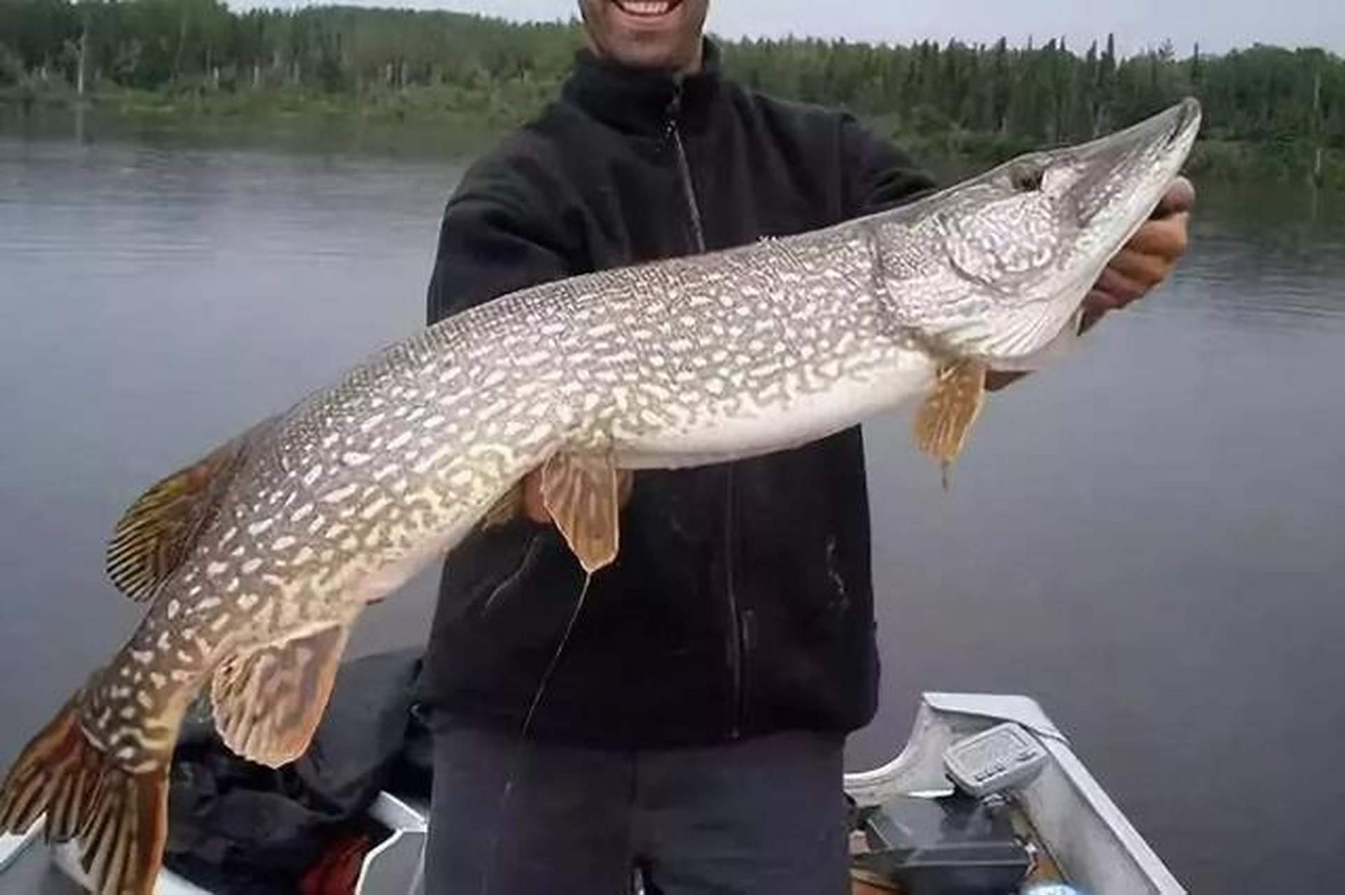 龙虾,海螺等海洋生物更是不计其数,不仅如此,据说贝加尔湖的湖底还