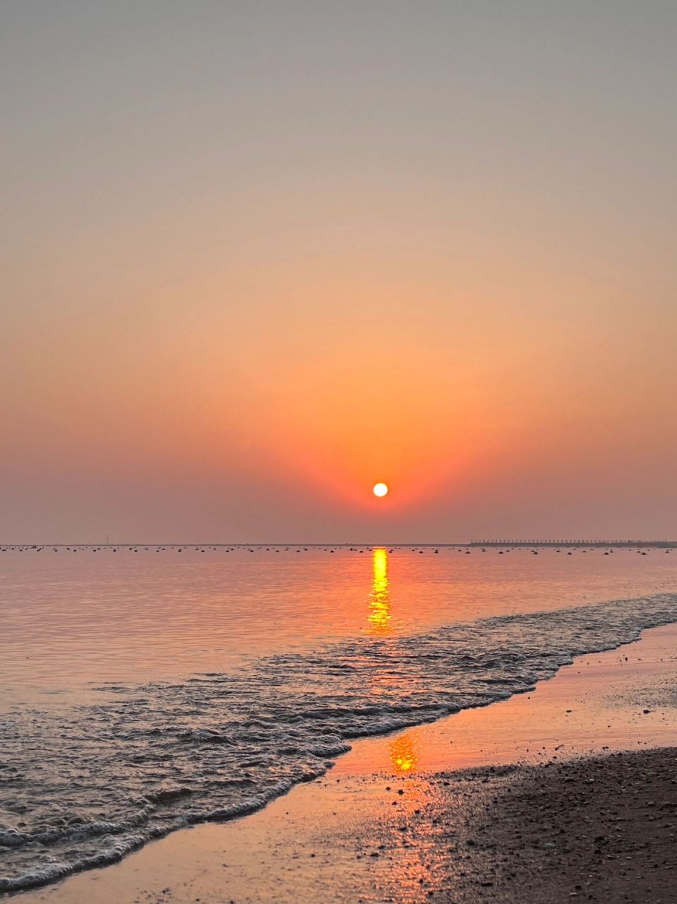 离潍坊最近的海边景区图片