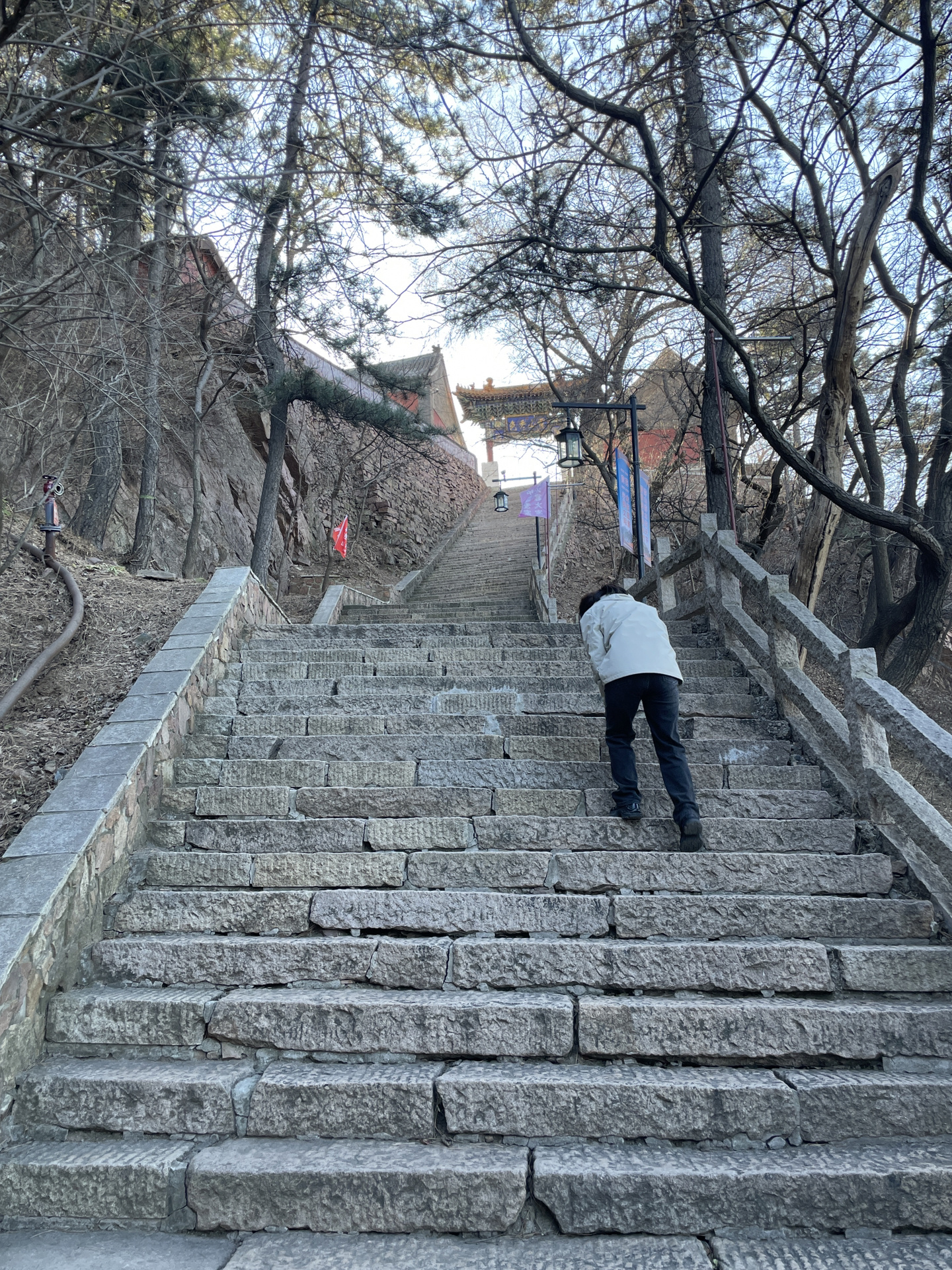 景忠山门票图片