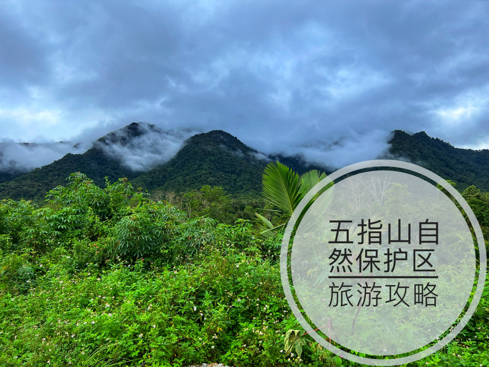 海南五指山旅游攻略 导航:五指山国家级自然保护区 海拔:1867米 从