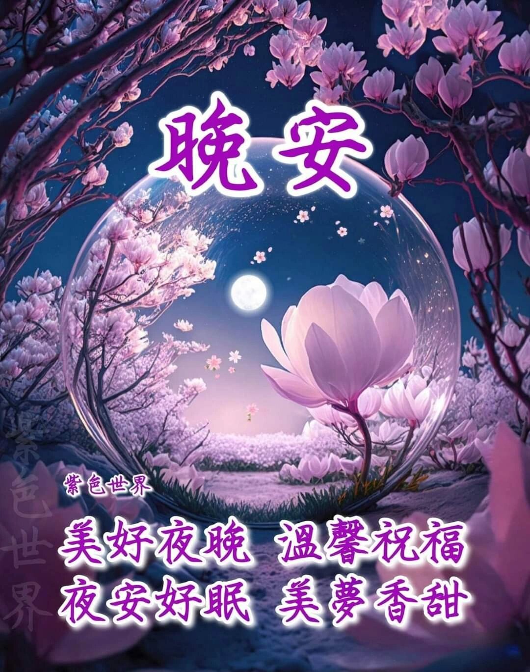 晚安问候 祝福图🌷🪻🌠