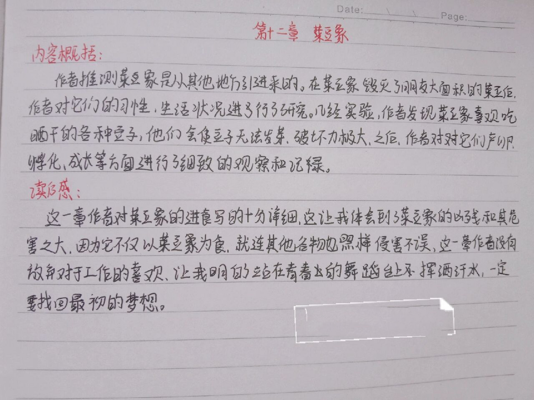 《昆虫记》第十二章 菜豆象